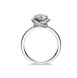 2018春季新款婚戒《珍寵愛(ài)》